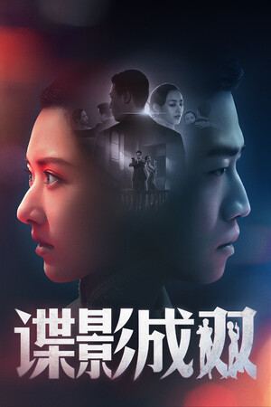 谍影成双