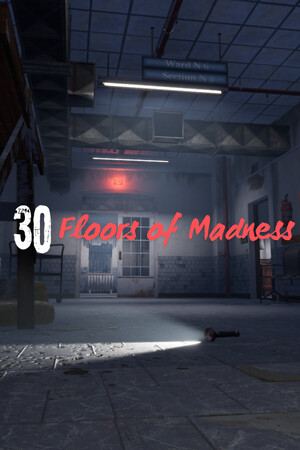 30 Floors of Madness