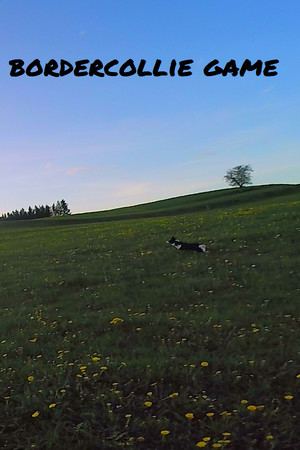 BorderCollie Game