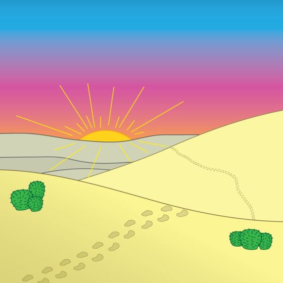 Desert Quest