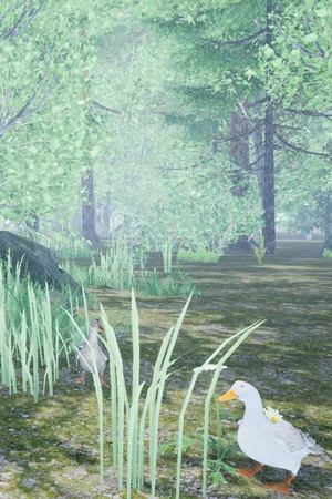 Duck Flight Simulator 2021