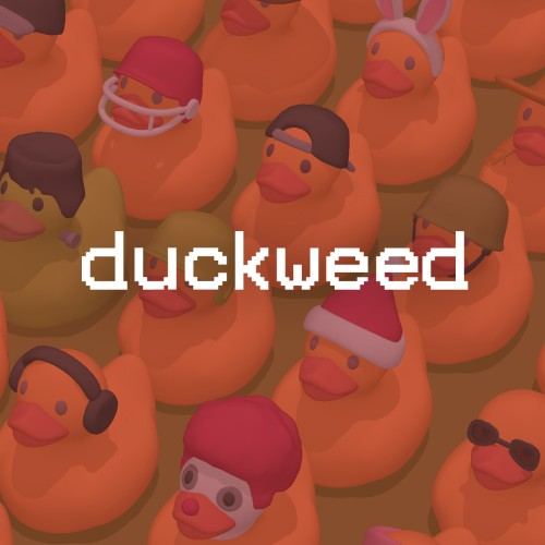 Duckweed