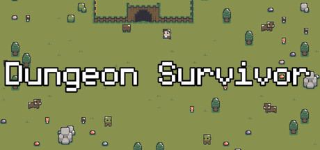 Dungeon Survivor