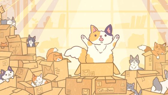 Gatos en Cajas
