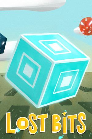 Lost Bits