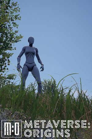 Metaverse: Origins