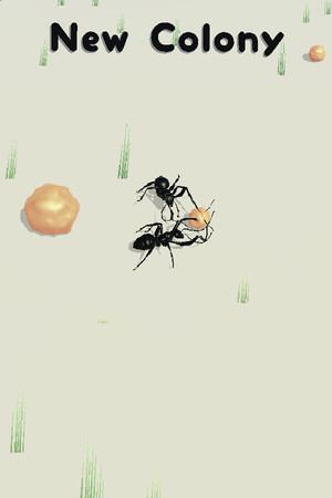 New Colony