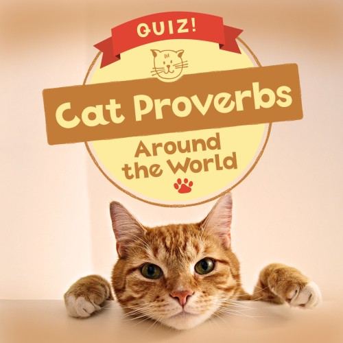 QUIZ! Cat Proverbs Around the World