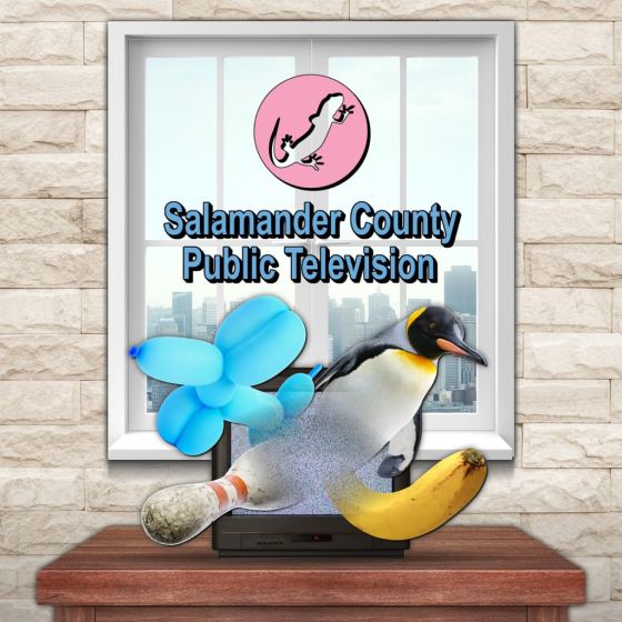 Salamander County Public Television PS4® & PS5®