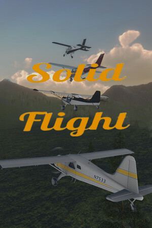 Solid Flight