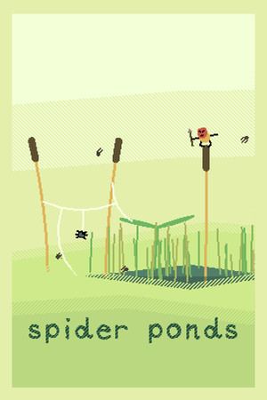 spider ponds