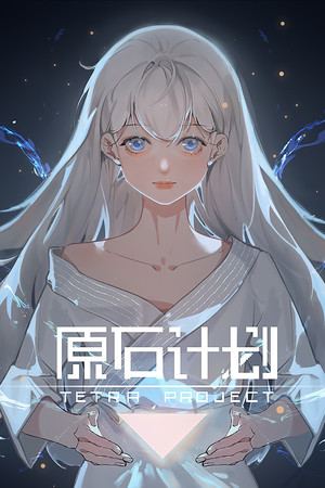 Tetra Project - 原石计划