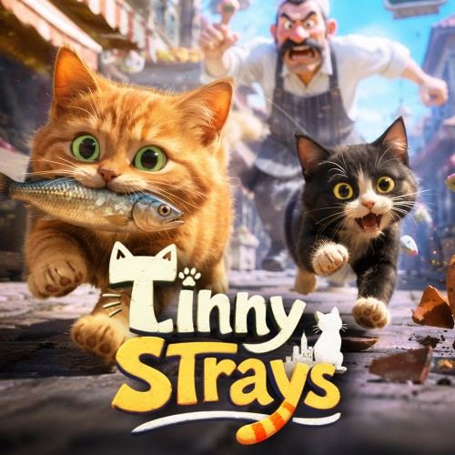 TINNY STRAYS