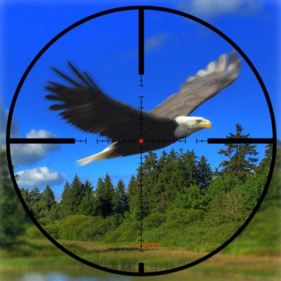 Wild American Hunt
